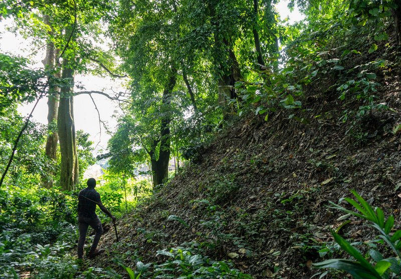 Edo|cation: Dokumentation eines Teils der Grabenwallanlagen von Benin mit Ovie R.