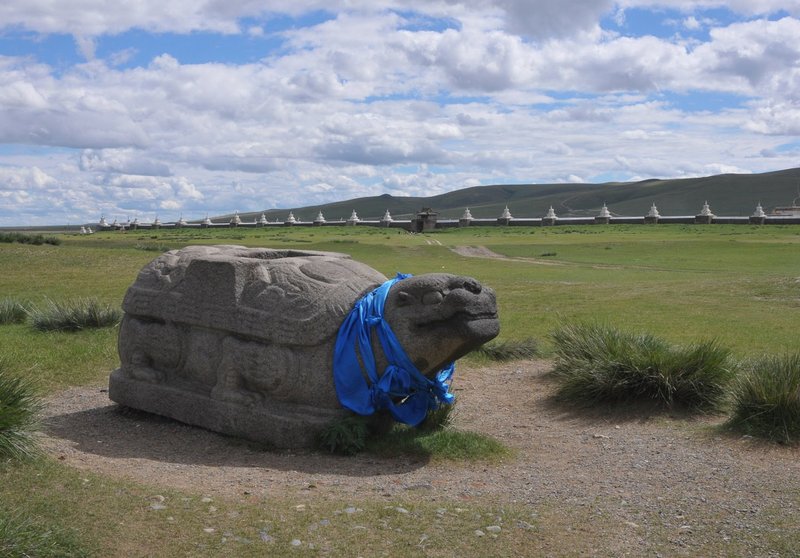 Karakorum granite tortoise